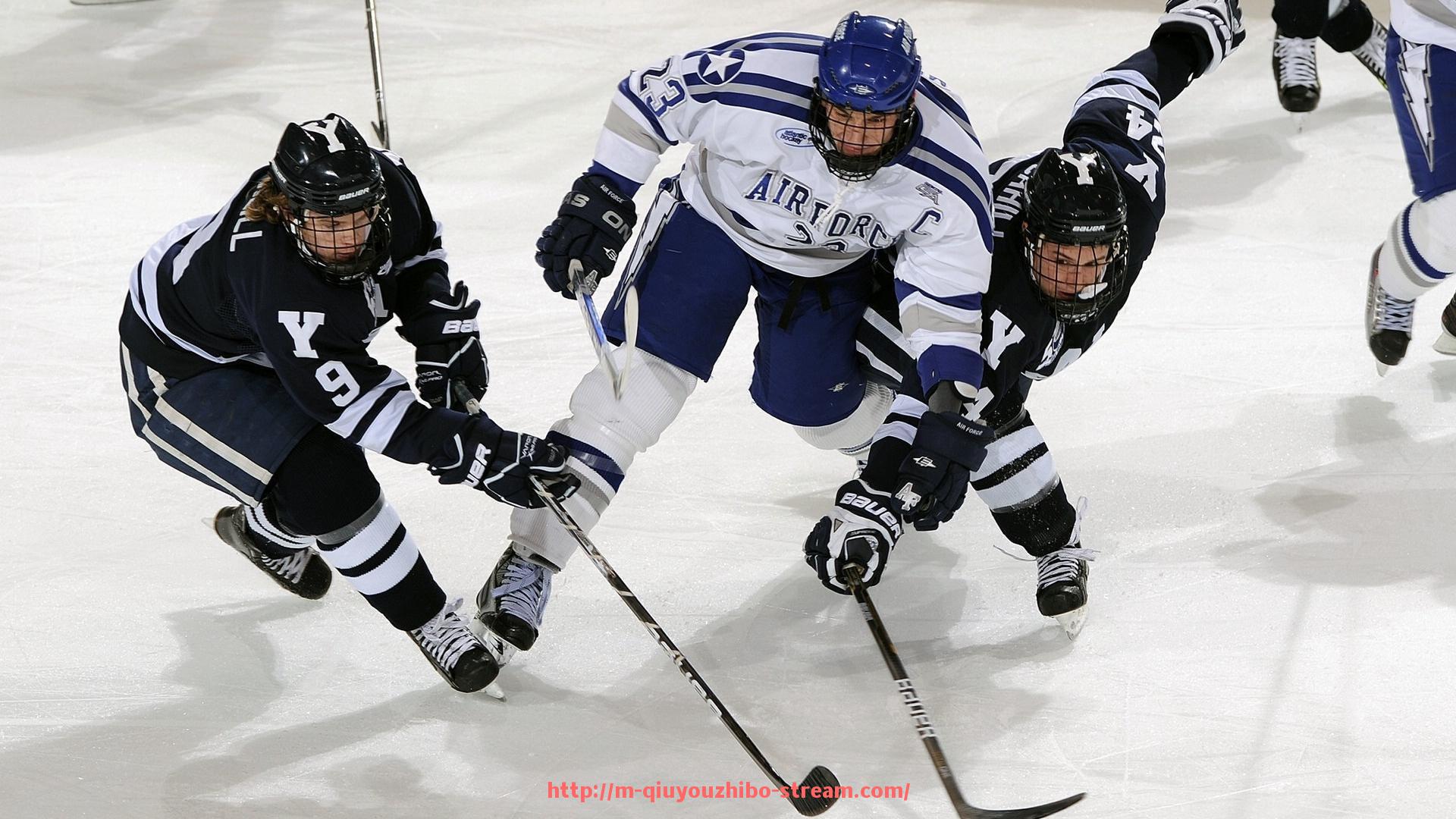球友体育直播-意甲中流球队的成就与发展潜力